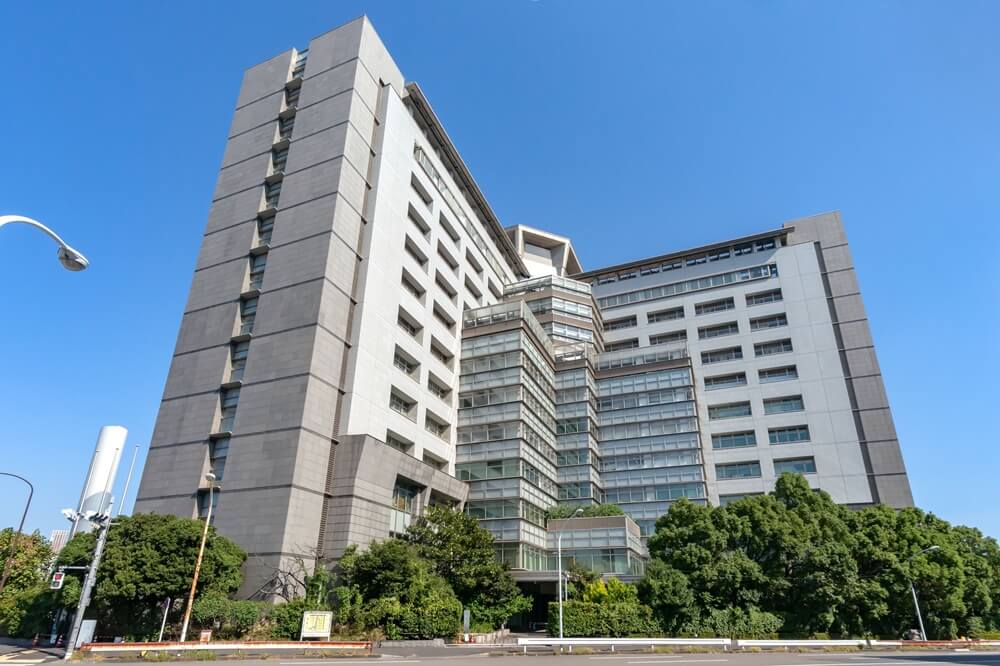 <strong>出入国在留管理庁――外国人材の受入れ及び共生社会実現に向けた取組</strong>